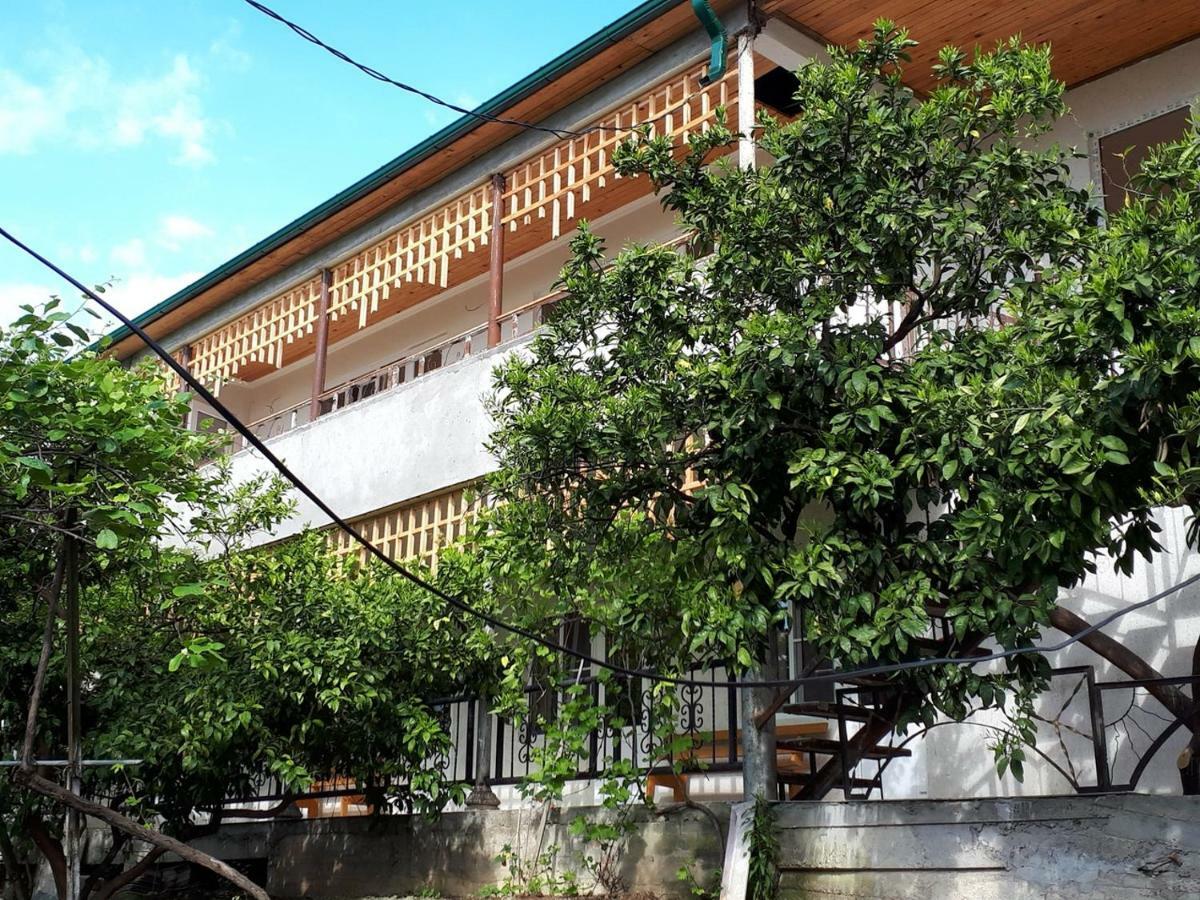 Inzhir Guest House New Athos Luaran gambar